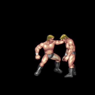 Stone Cold's Punch