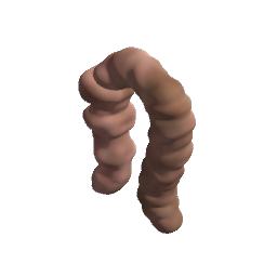Alaskan Bull Worm Middle (ugly version)