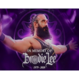 Brodie Lee Tribute Poster