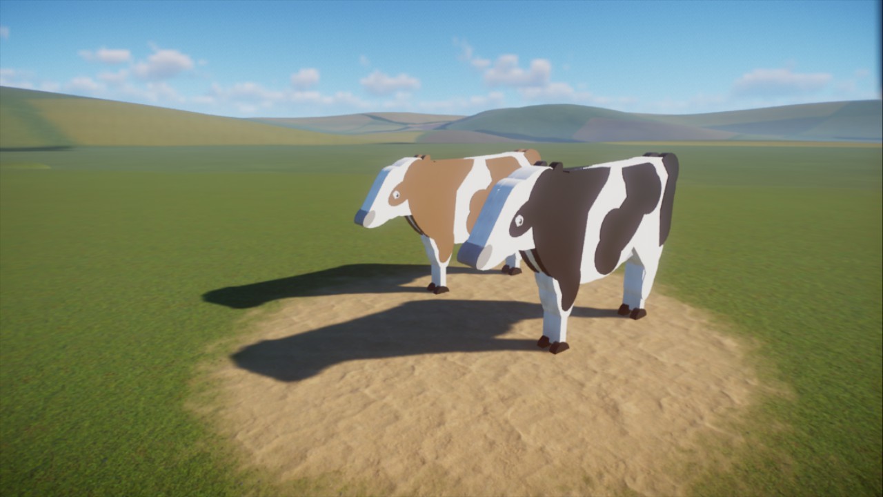 Cow Displays