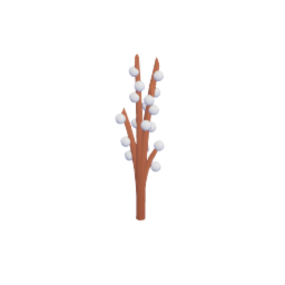 simple plants2