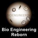 Bio Engineering REBORN