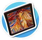 Horse small painting
