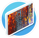 Abstract canvas 5