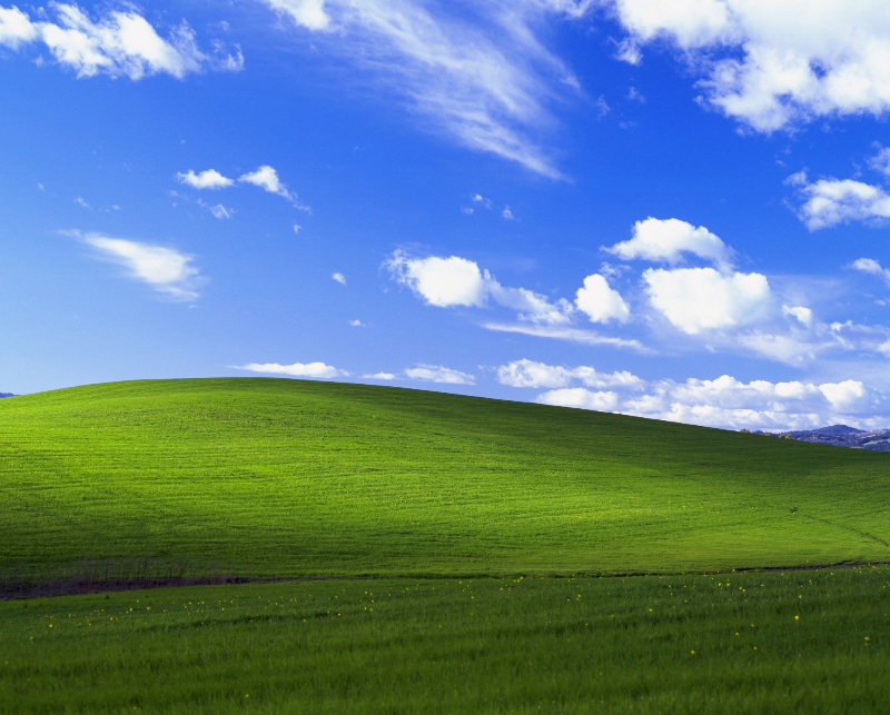 WIN XP