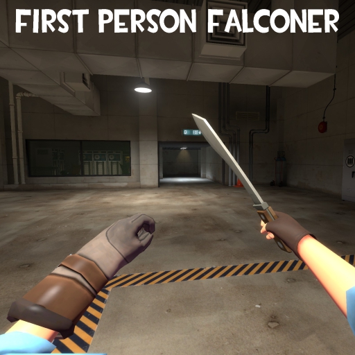 First Person Falconer