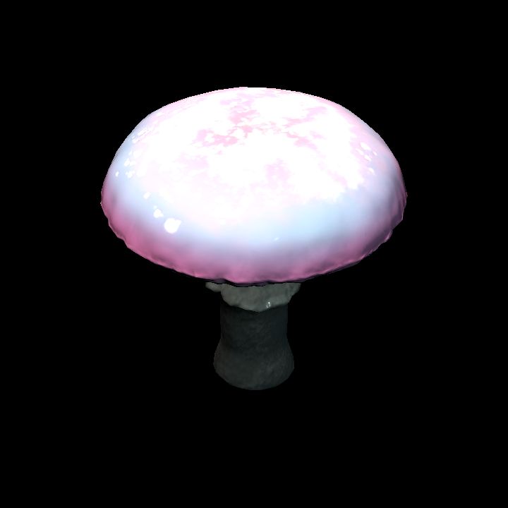 Mushroom_Middle_9_1