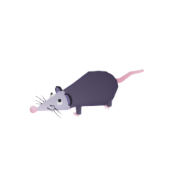 Opossum
