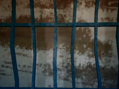 Locked Behind Bars