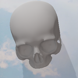 skull