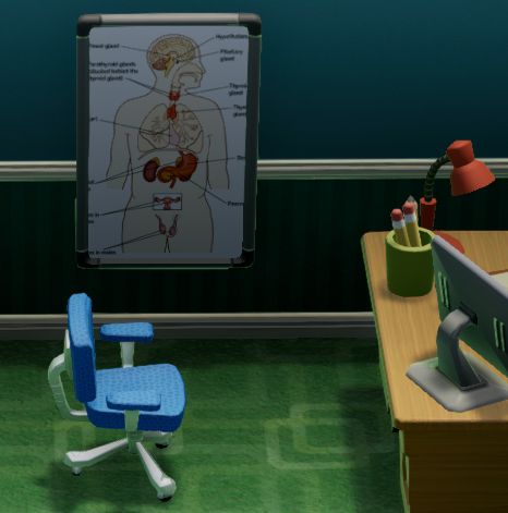MEDICAL 05