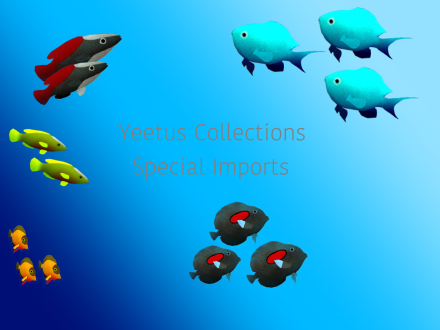 Yeetus Collections inc. - Special Imports