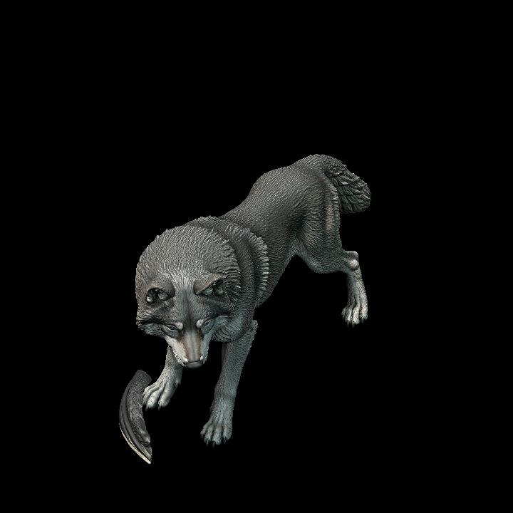 Gray Wolf