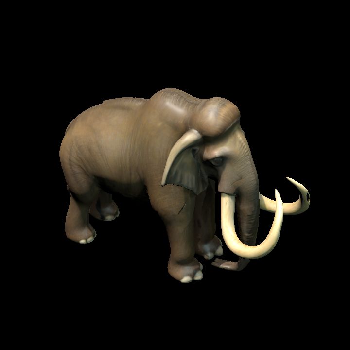 Columbian Mammoth (Mammuthus columbi)
