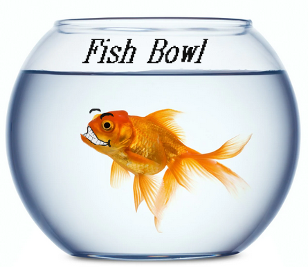Fish Bowl