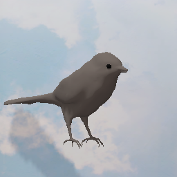 Birb