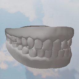Teeth