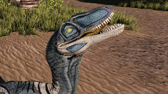 Crystal Coven Novaraptor [Free Drop]