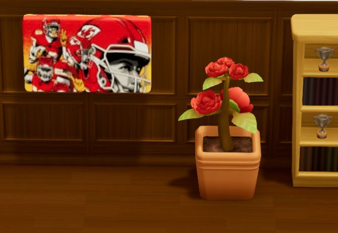 Chiefs13