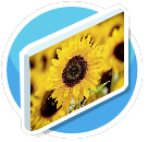 Blumen