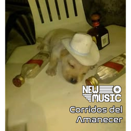 Corridos del Amanecer