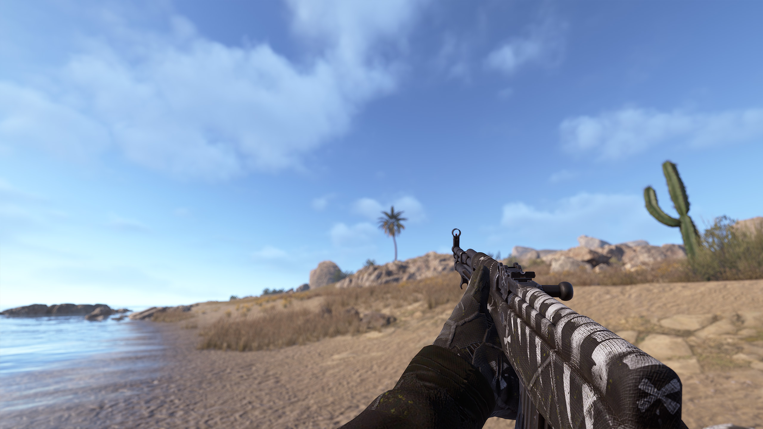 Pirate SKS thumbnail 8