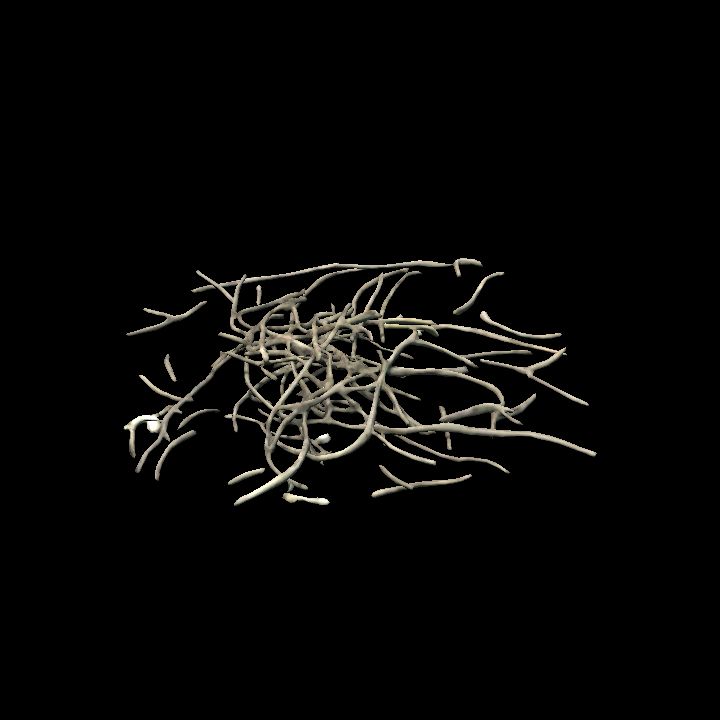 Twigs random pile