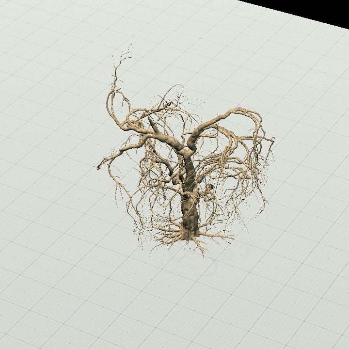DeadWeepingTree1