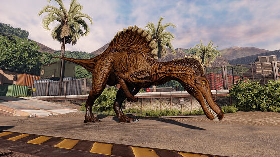 Hot Chocolate Spino (Winter 2020)