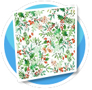 Watercolor Mistletoe Wallpaper