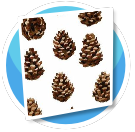 Foresty Pine Cone Wallpaper