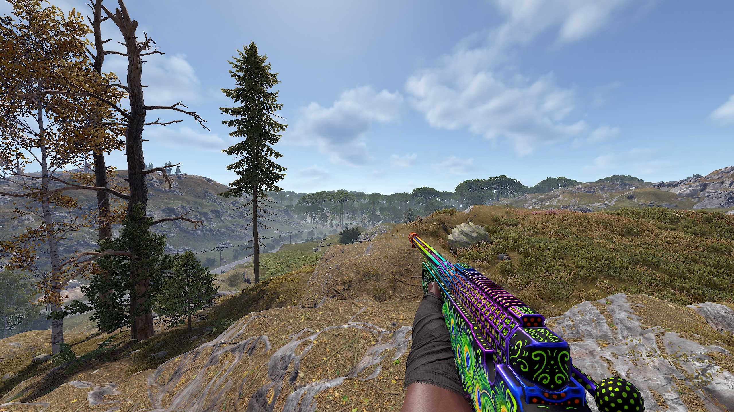 Bird of Luck L96 thumbnail 4