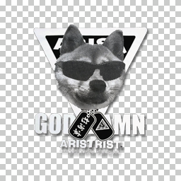 NOAH_SUGIURA-GUN