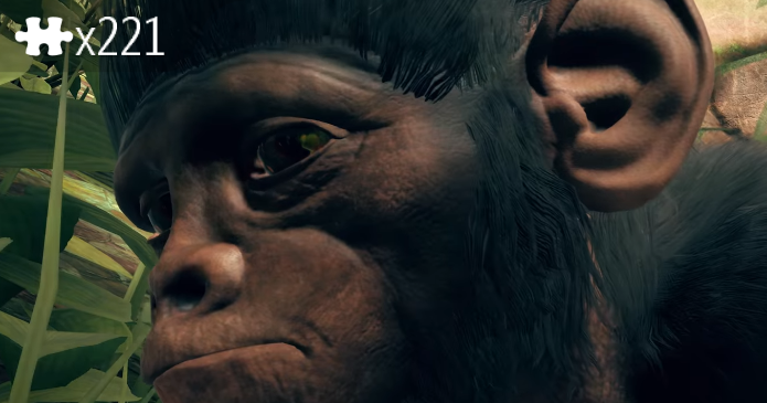 CHIMP