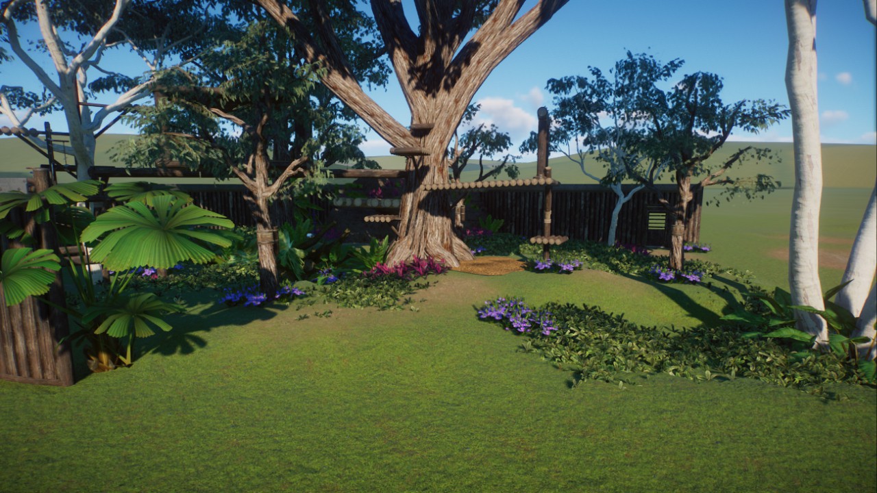 Koala habitat