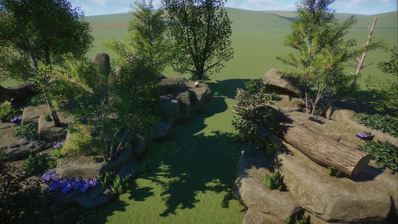 Forest Scenery 3