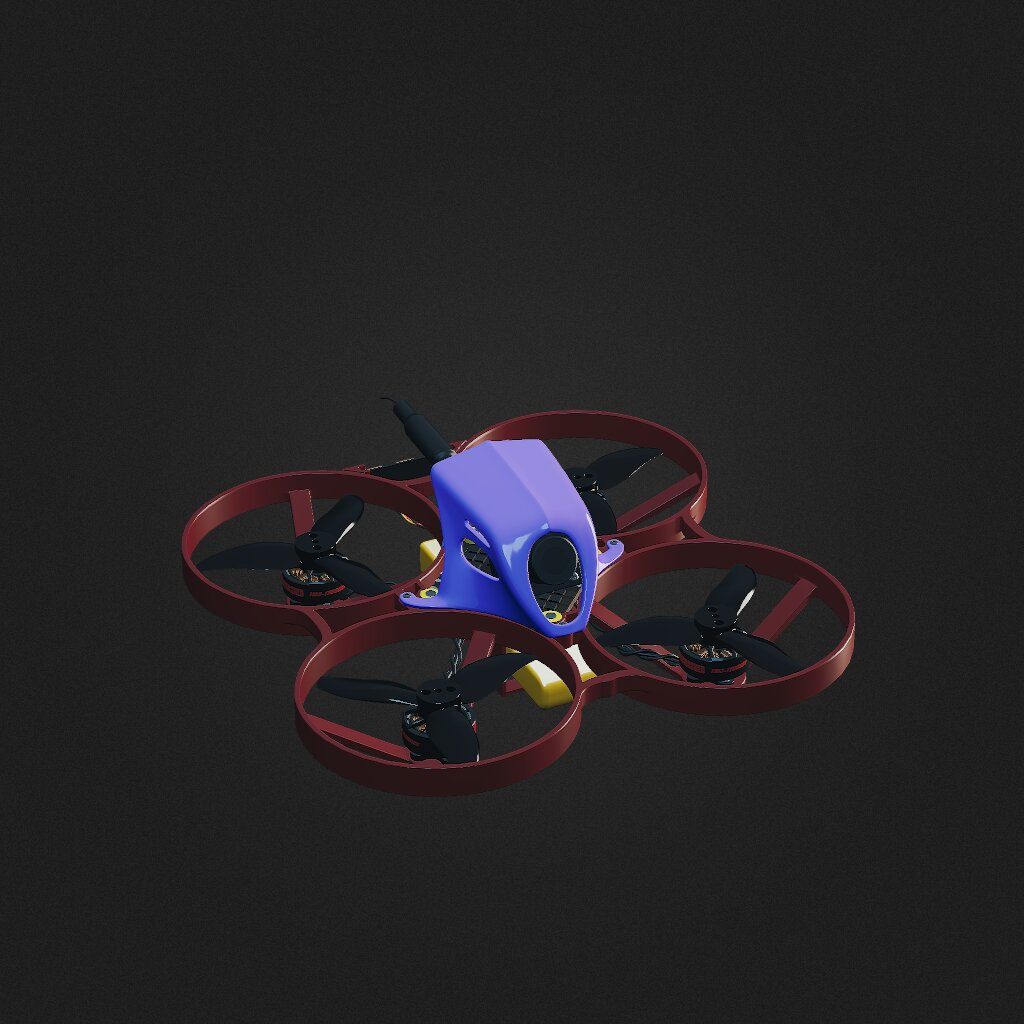 aquila16