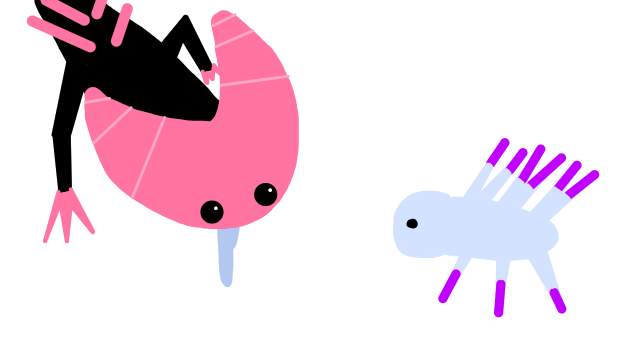 Yummy Nudibranch