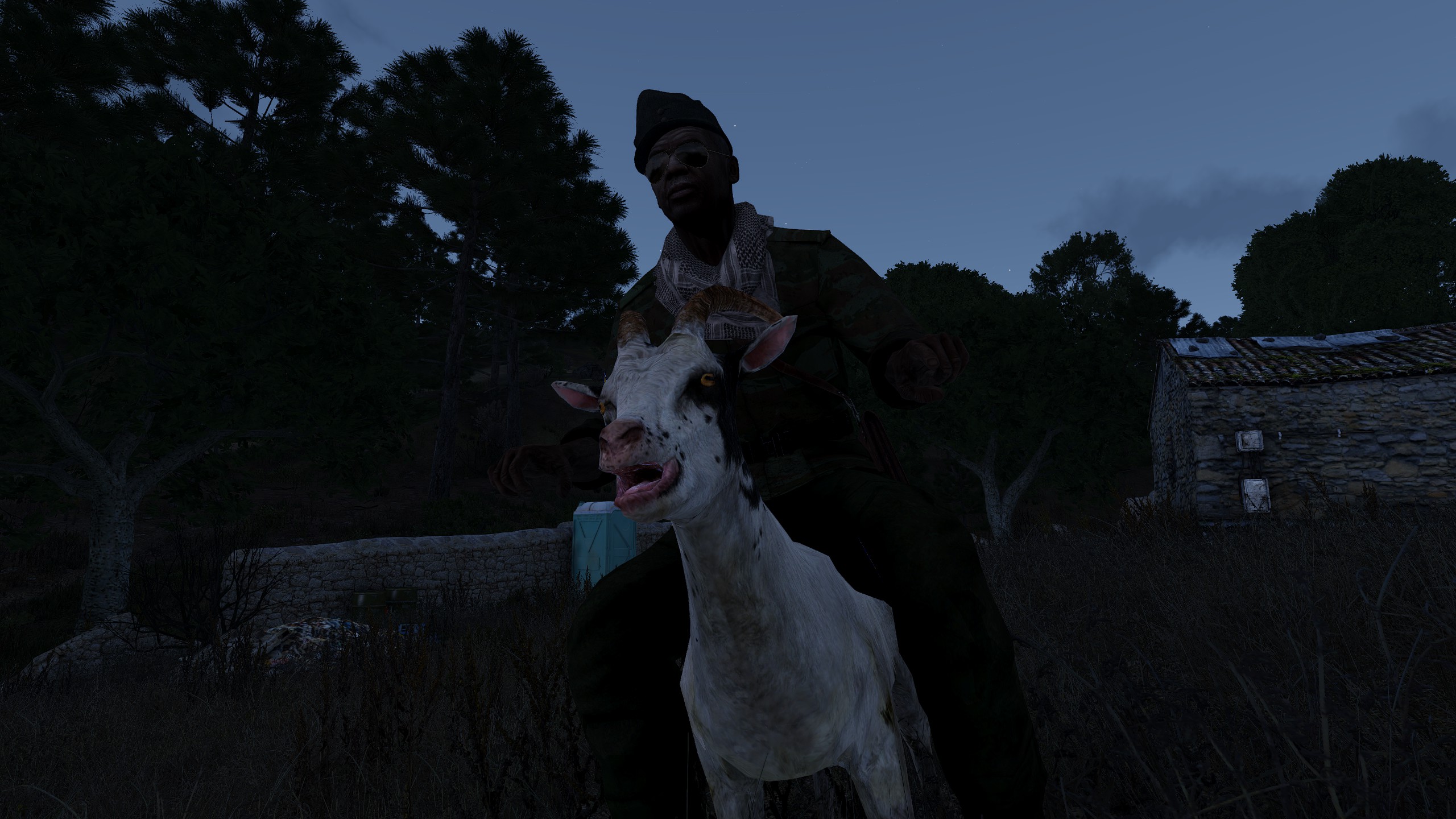 Goat Bike