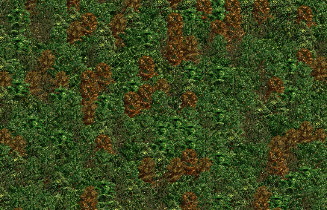ForestNothing_4P_Small