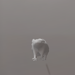 rat
