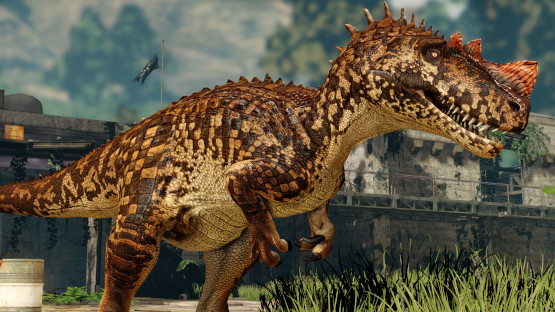 Australis Cerato Skin+Mutation (Winter 2020)