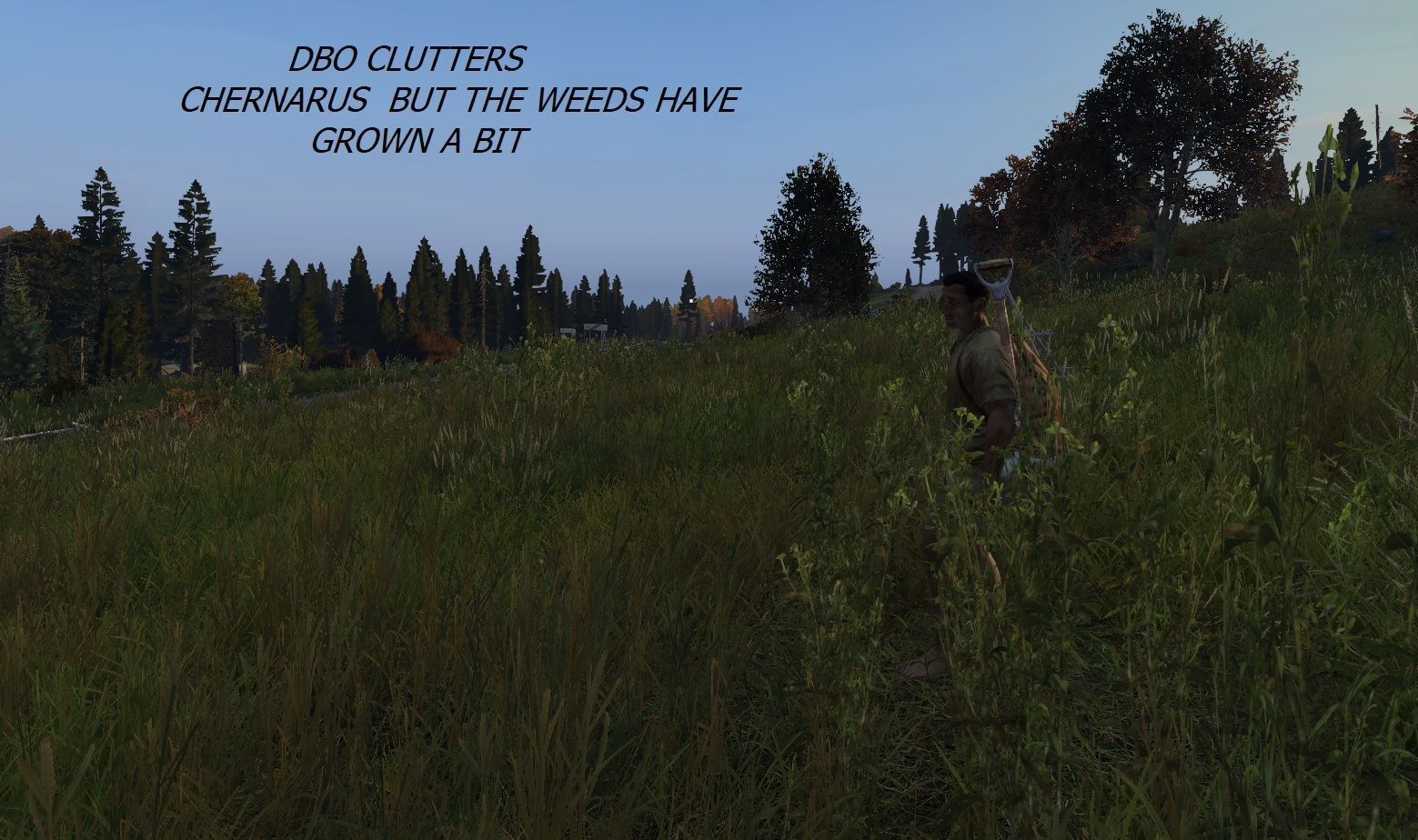 dbo_clutters