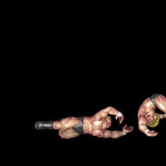 German Suplex Whip C