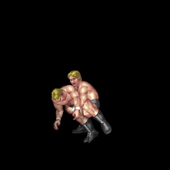 Twist German Suplex