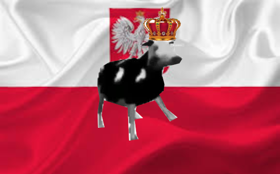 polish cow flag