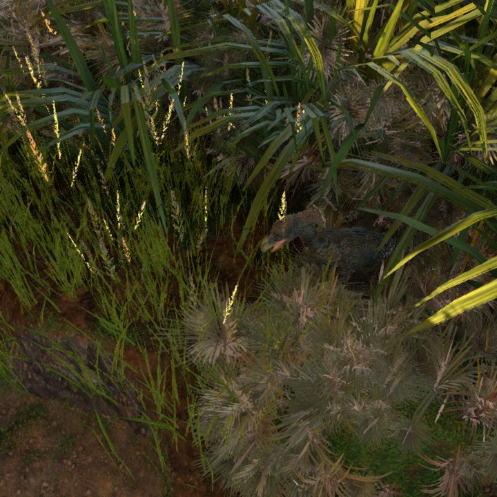 The Tall Grass
