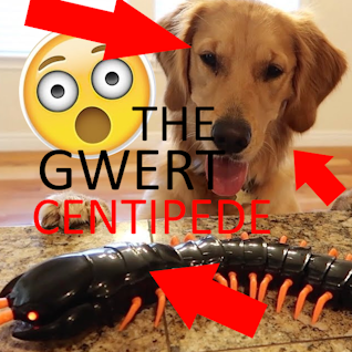 THE GWERT CENTIPEDE