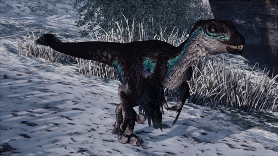 Auro Raptor [Winter 2022 then i guess >:(]