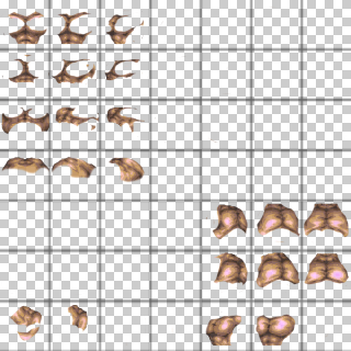 Male Color 4 Ripped Chest